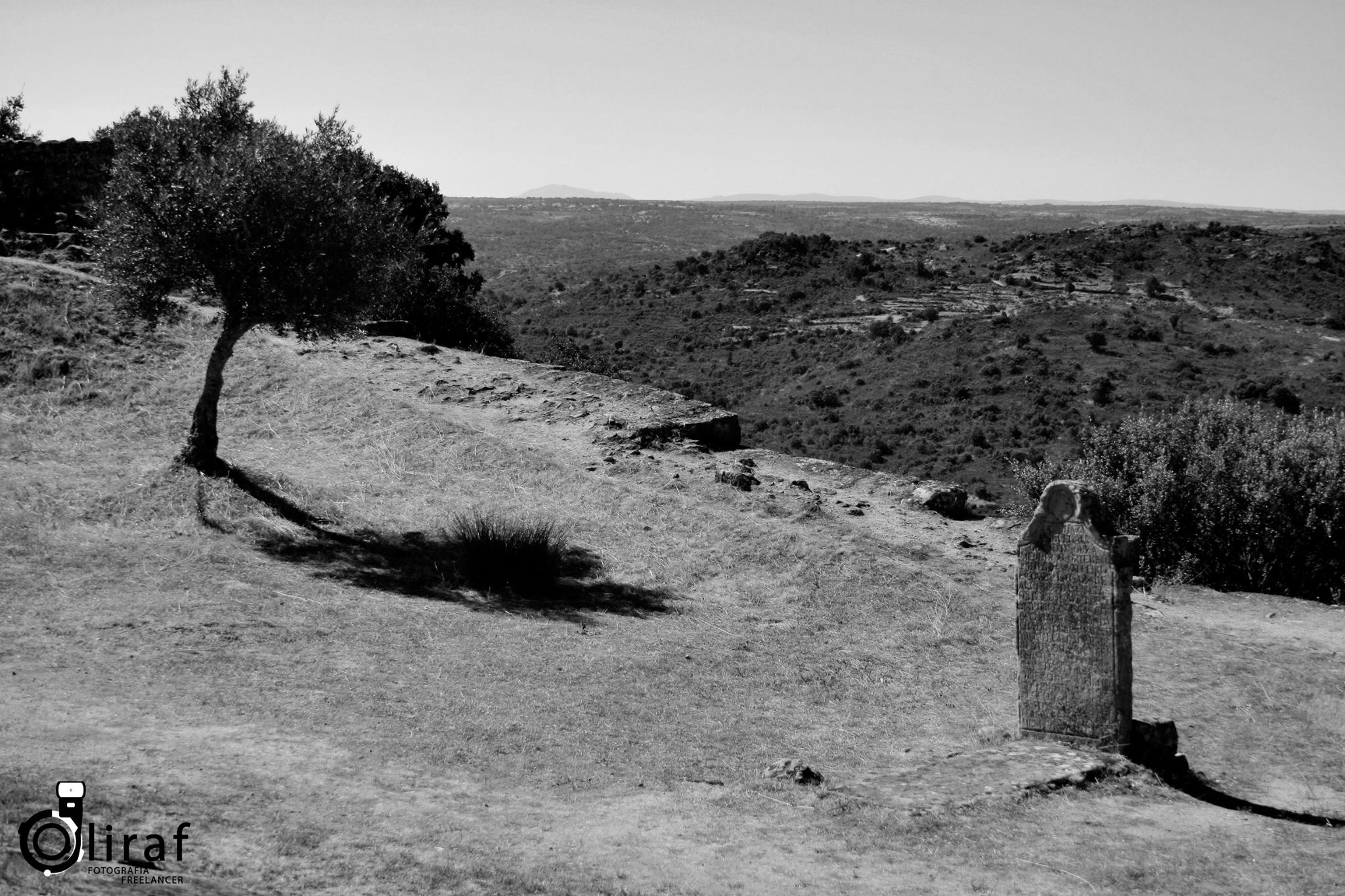 Esta imagem tem um texto alternativo em branco, o nome da imagem é castelo-mendo.jpg