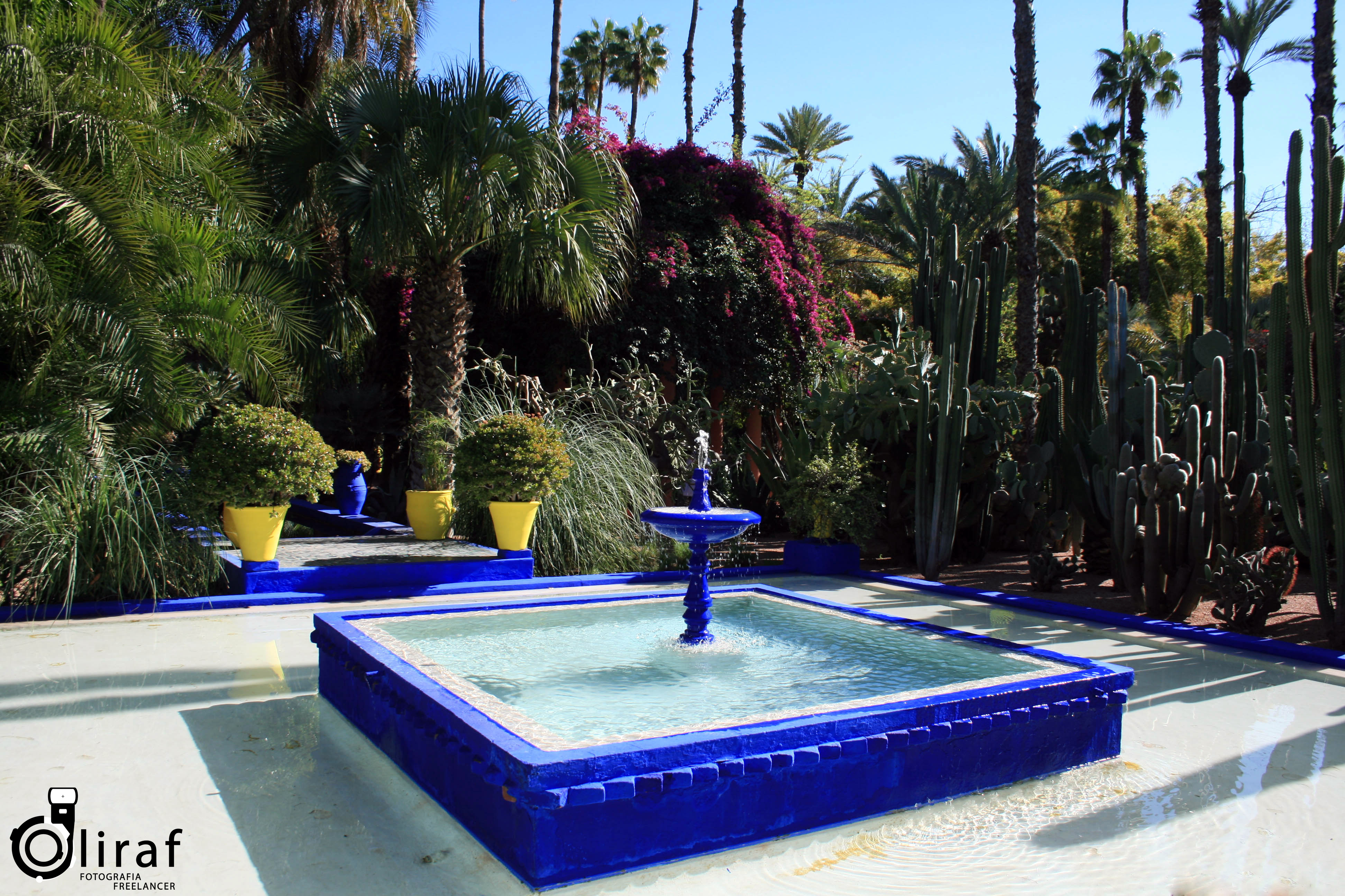 jardin-majorellemarraquexeivesaintlaurent