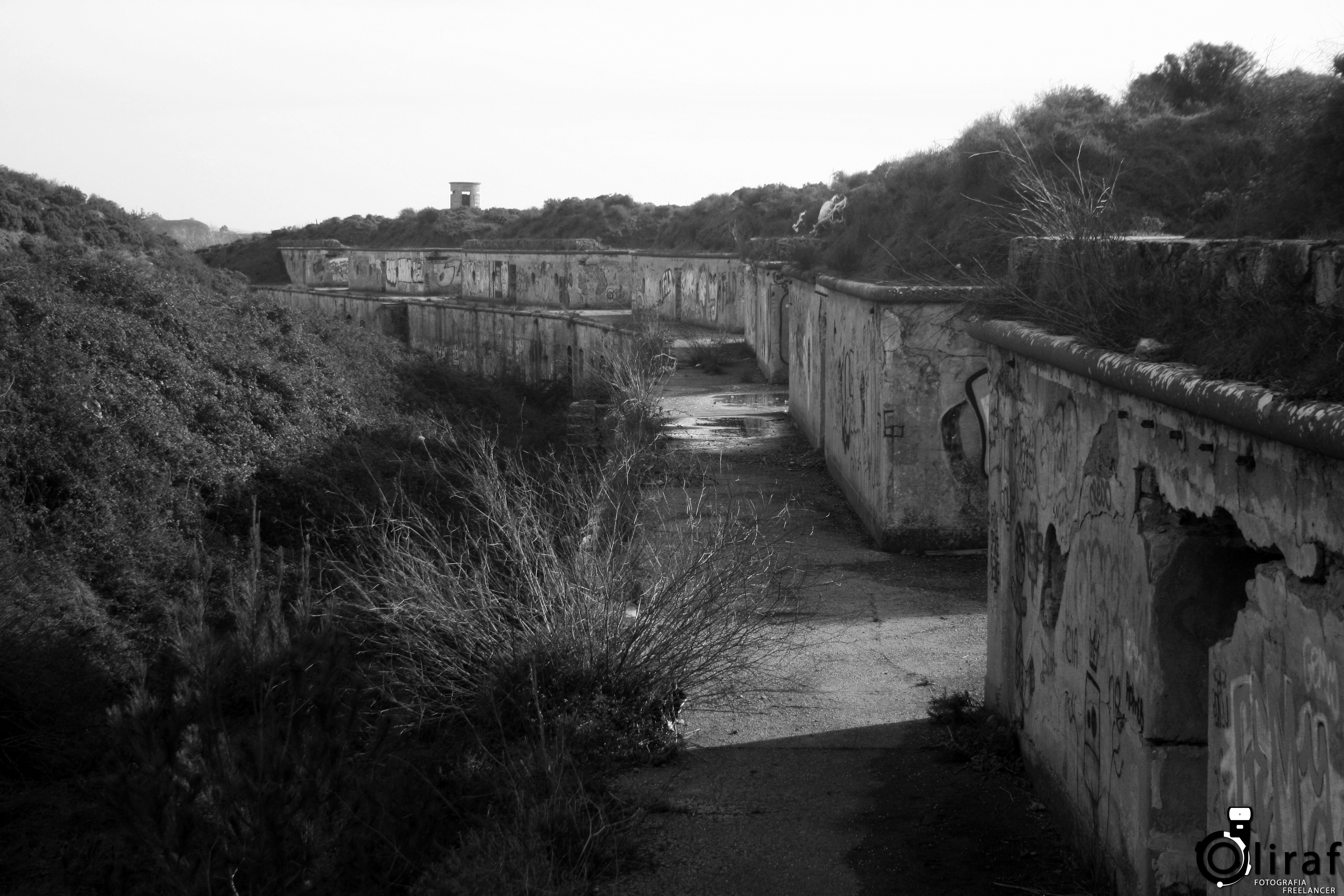 BateriaAlpena1893 (11)