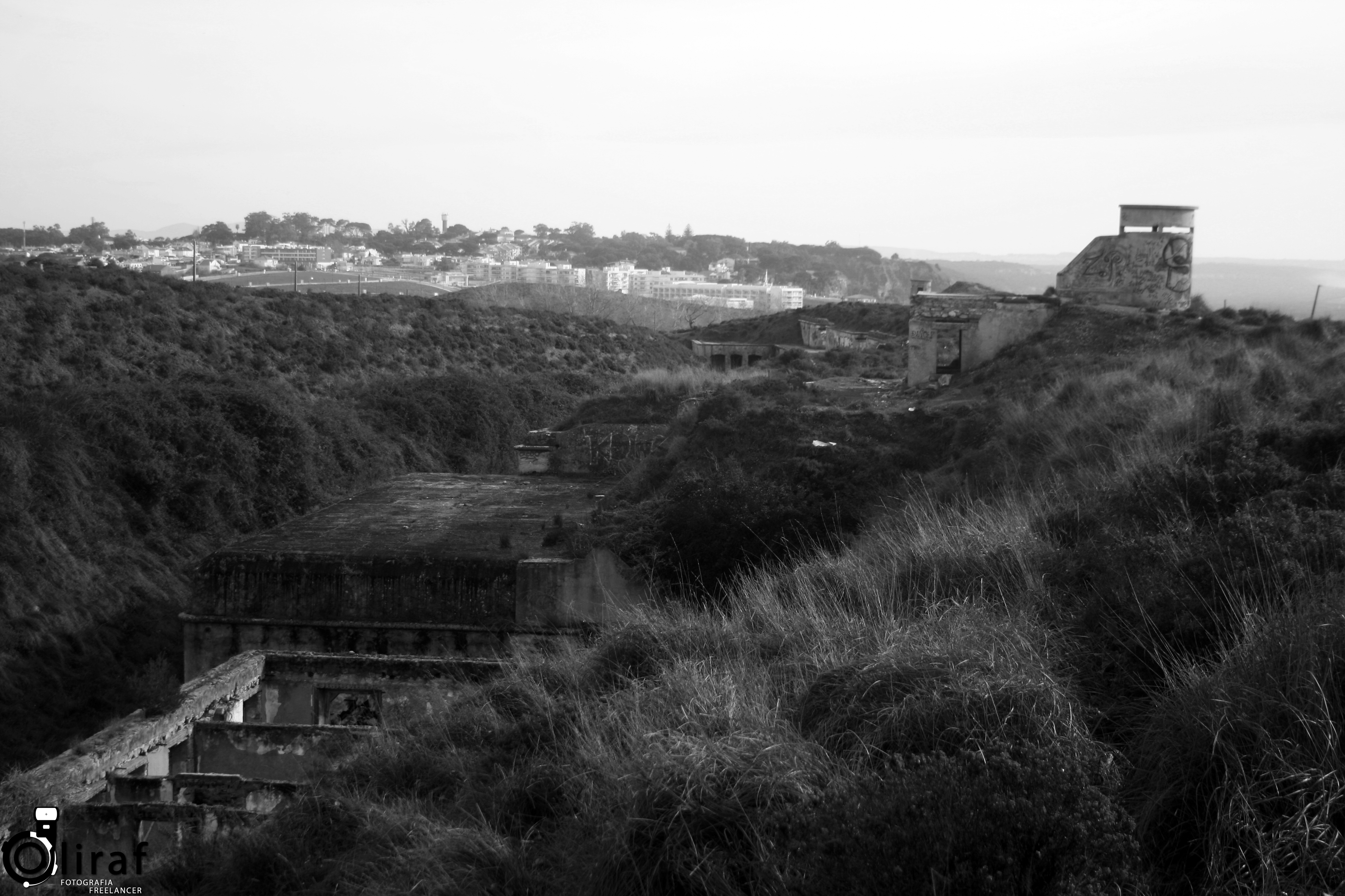 BateriaAlpena1893 (4)