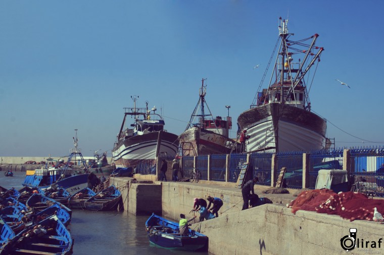 essaouiraportobarcosfaina