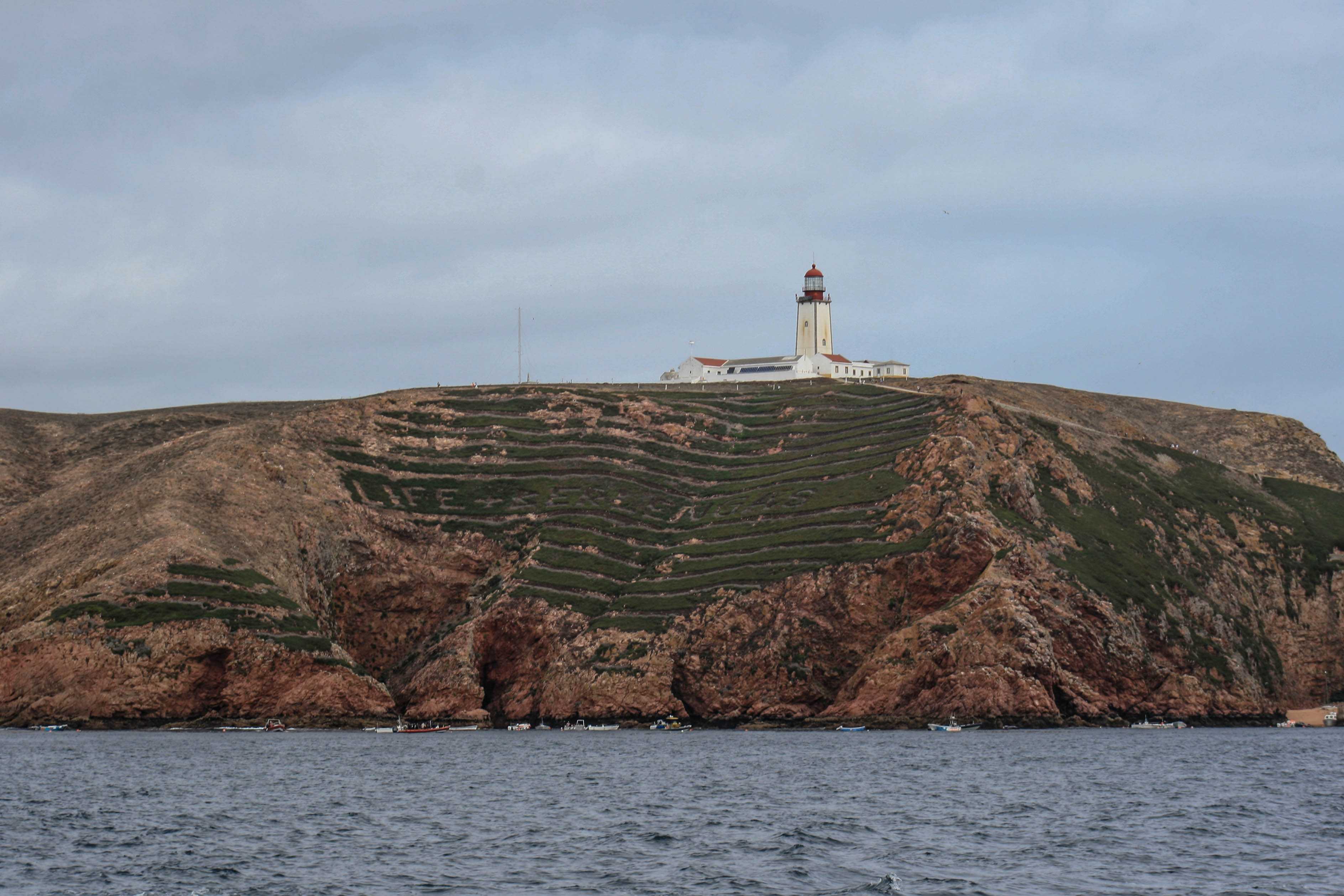 Berlengas2015-242