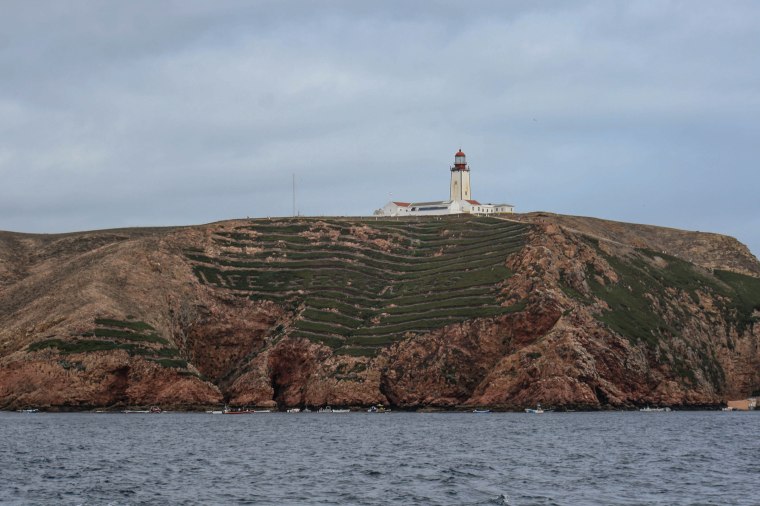 Berlengas2015-242