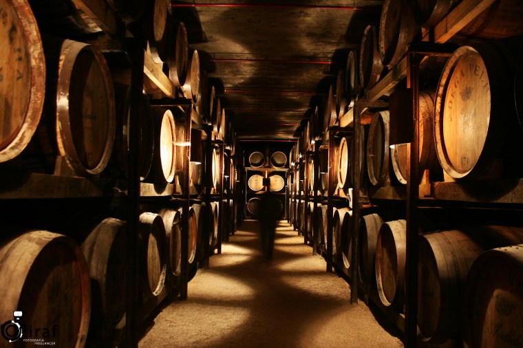 Quinta da Aveleda (1)