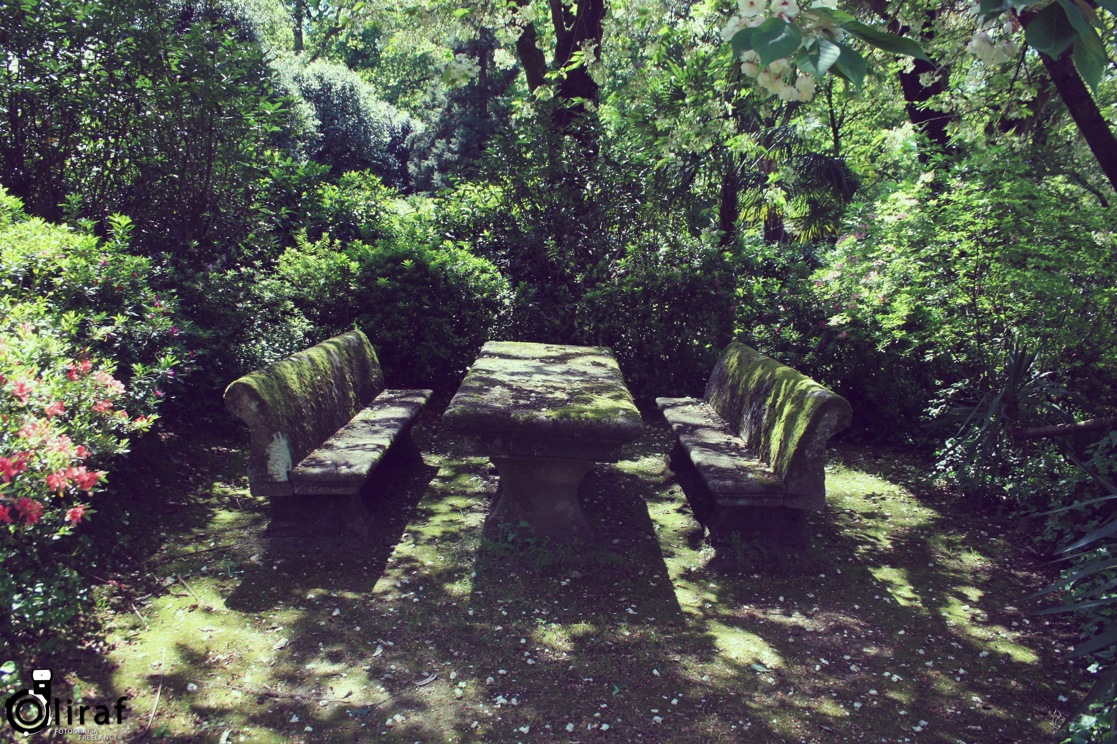 Quinta da Aveleda (12)