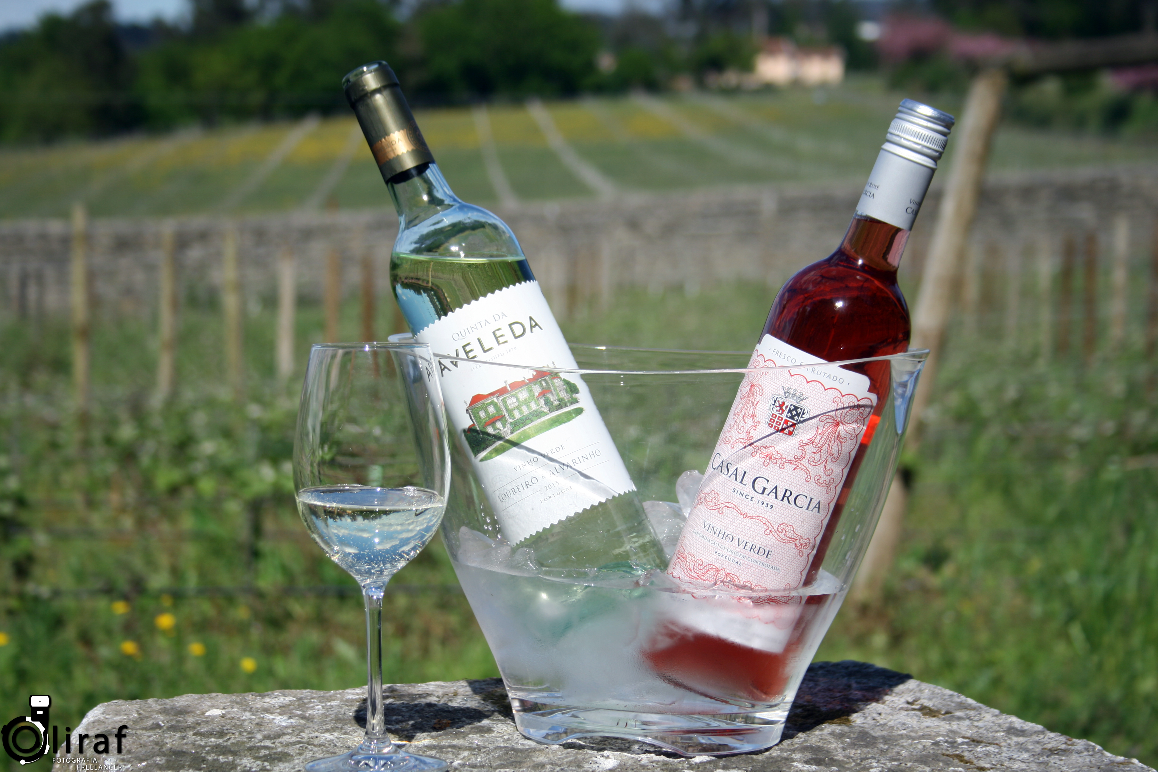 Quinta da Aveleda (5)