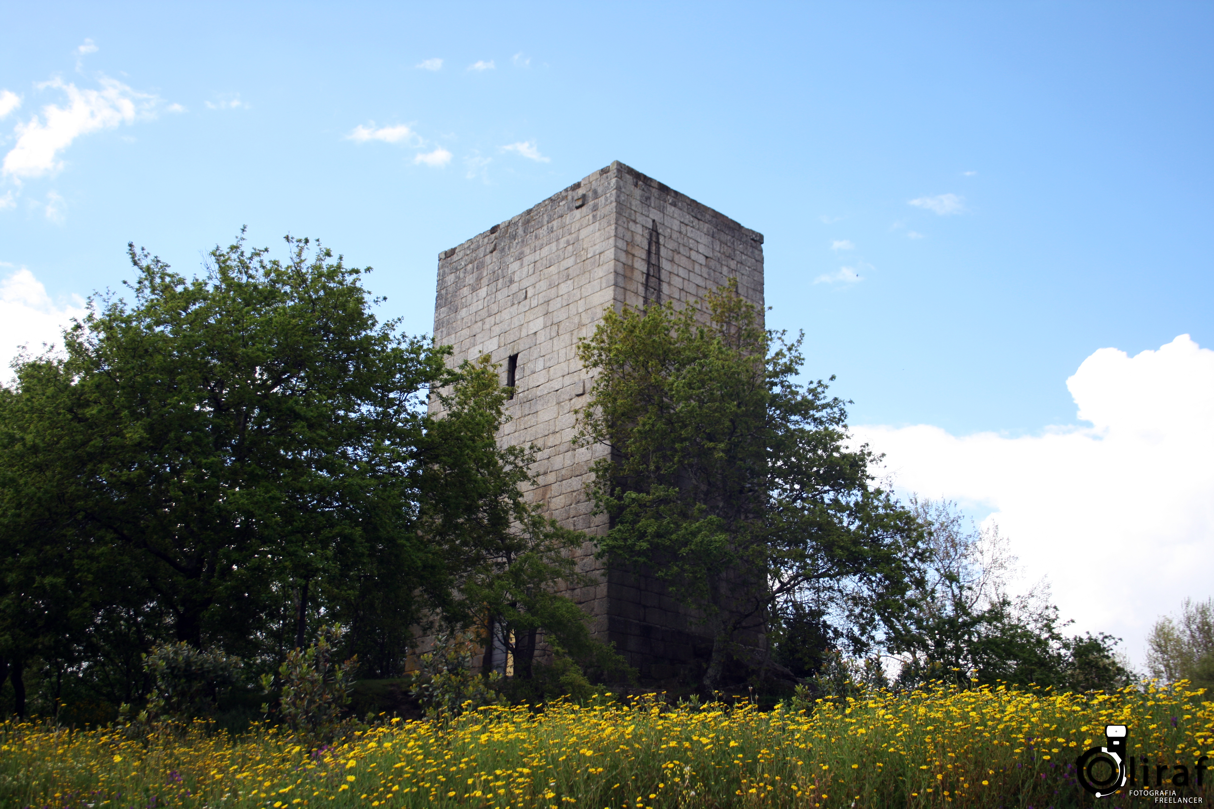 Rota do Românico (9)