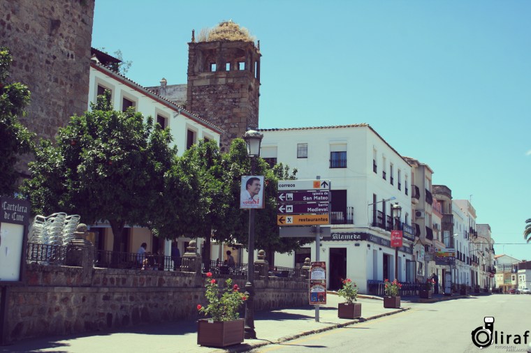 AlburquerqueBadajozExtremadura (14)