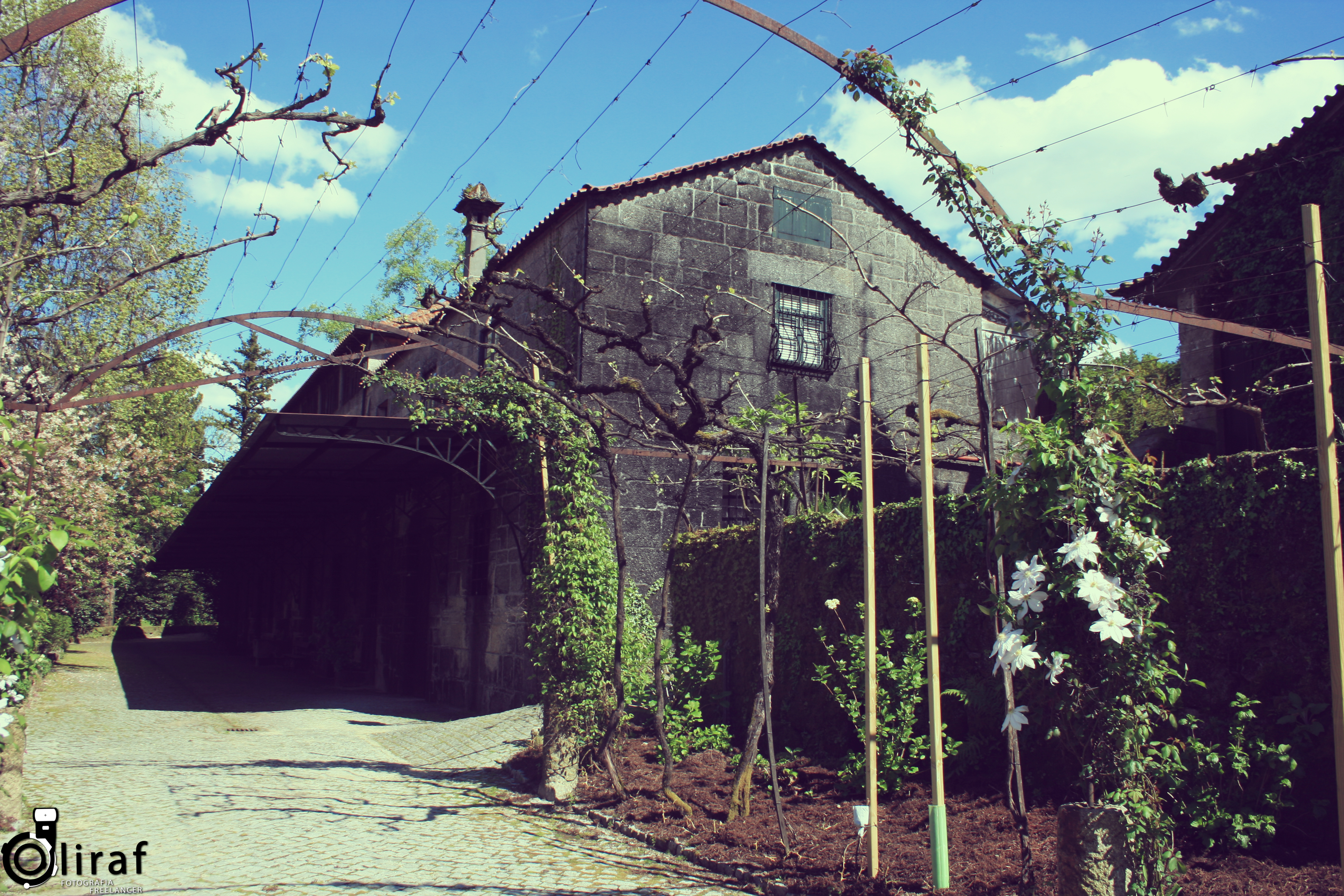 quinta-da-aveleda-16