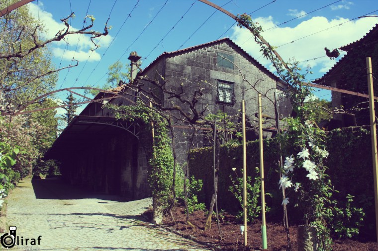 quinta-da-aveleda-16