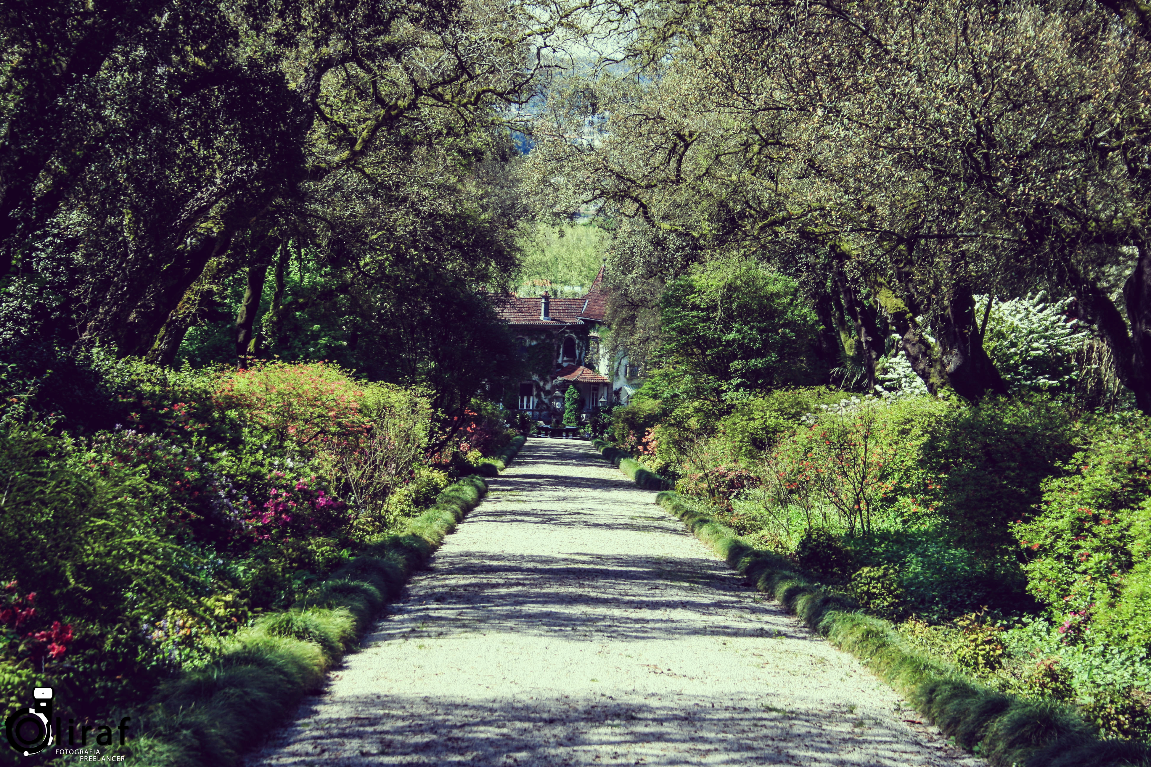 quinta-da-aveleda-19