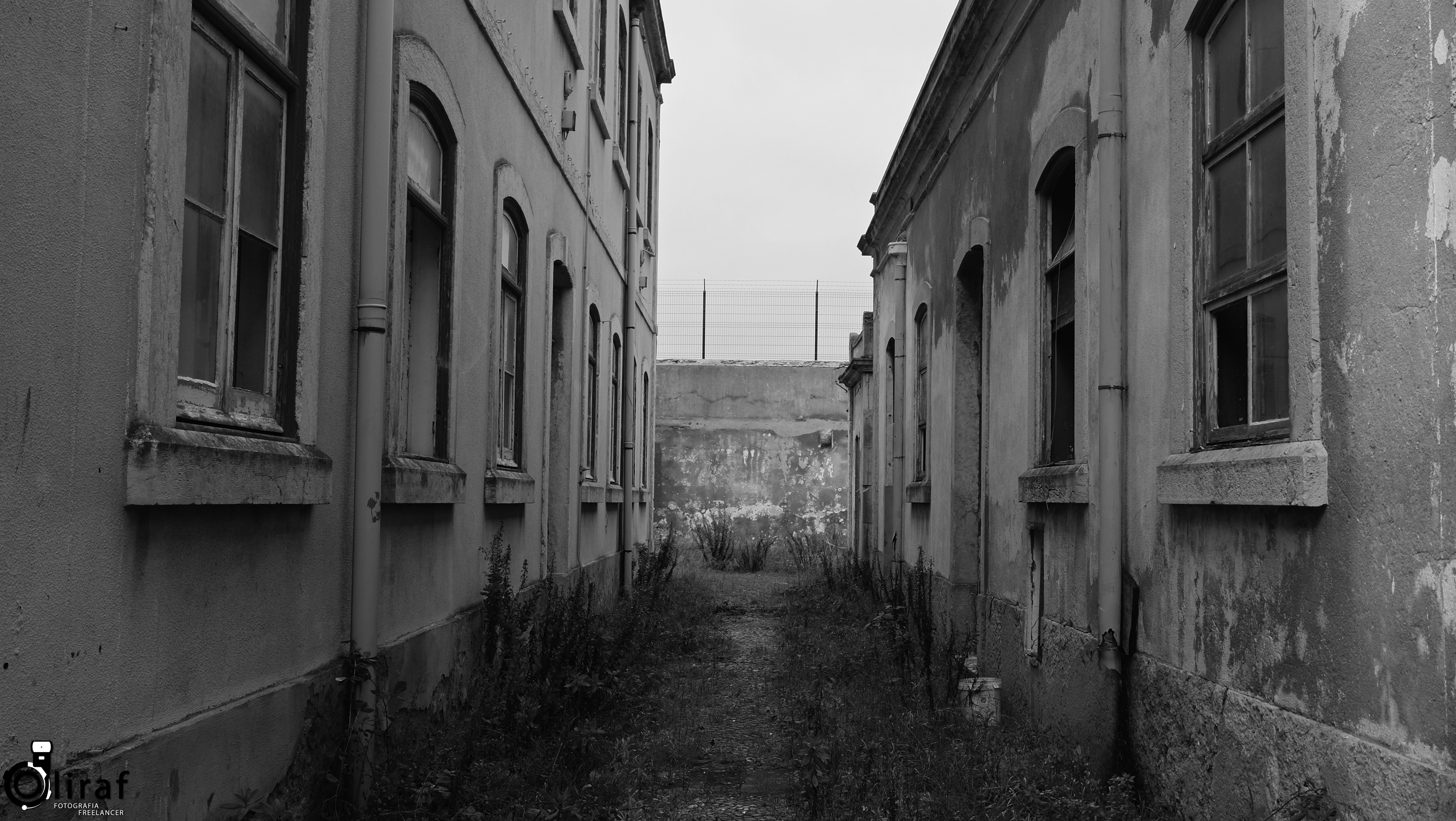 fuji-x-t10-trafaria-7