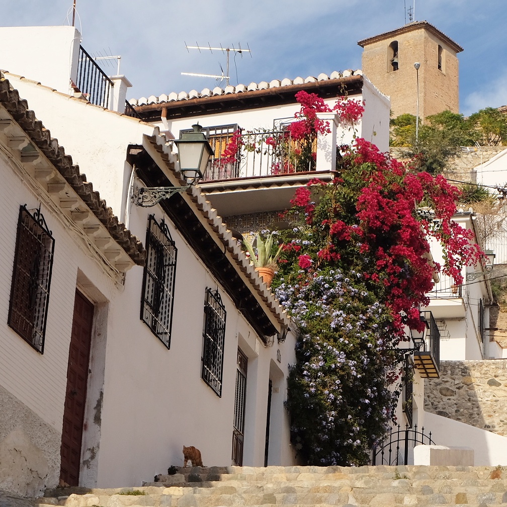 img_20161112_210726-1