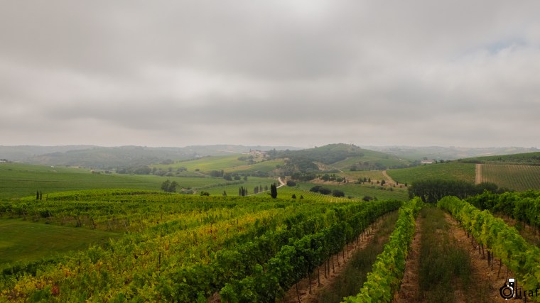 CasaSantosLimaEnoturismo-1