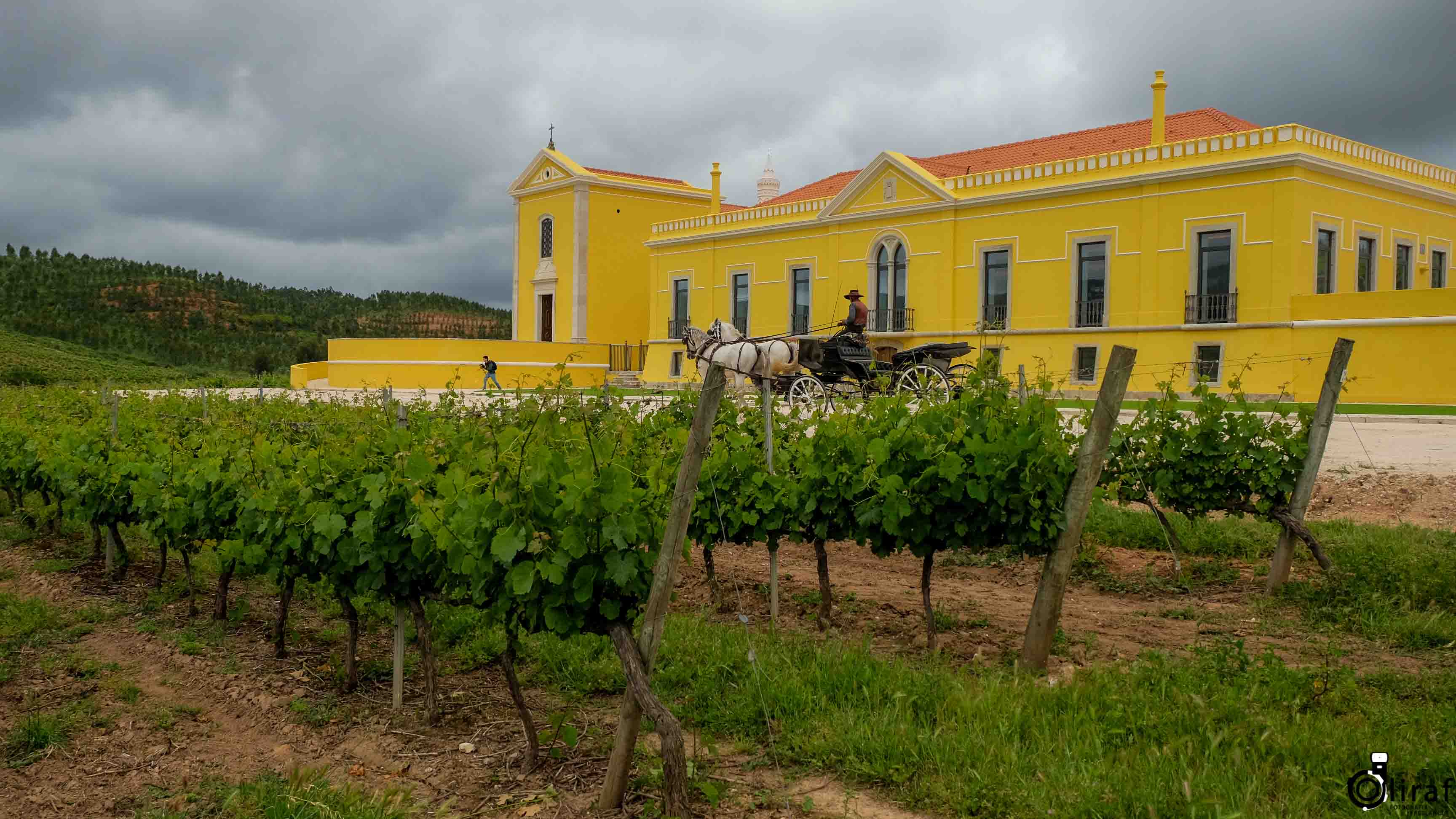 QuintadoGradil (1)-1 copy