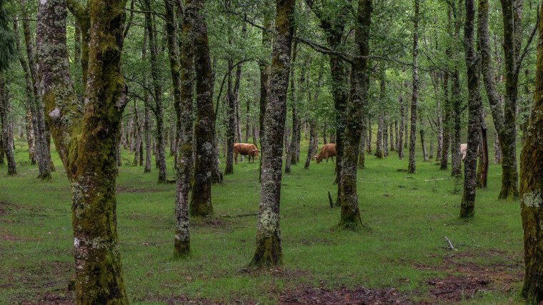 FAM TRIP_Melgaço--16
