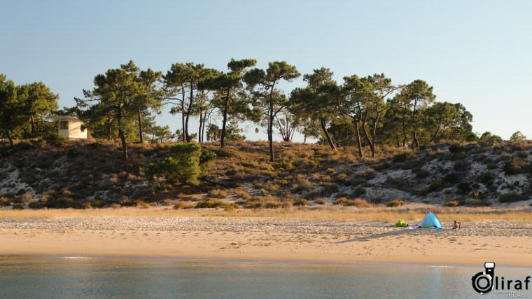 Esta imagem tem um texto alternativo em branco, o nome da imagem é trc3b3ia_ferry-1-4.jpg